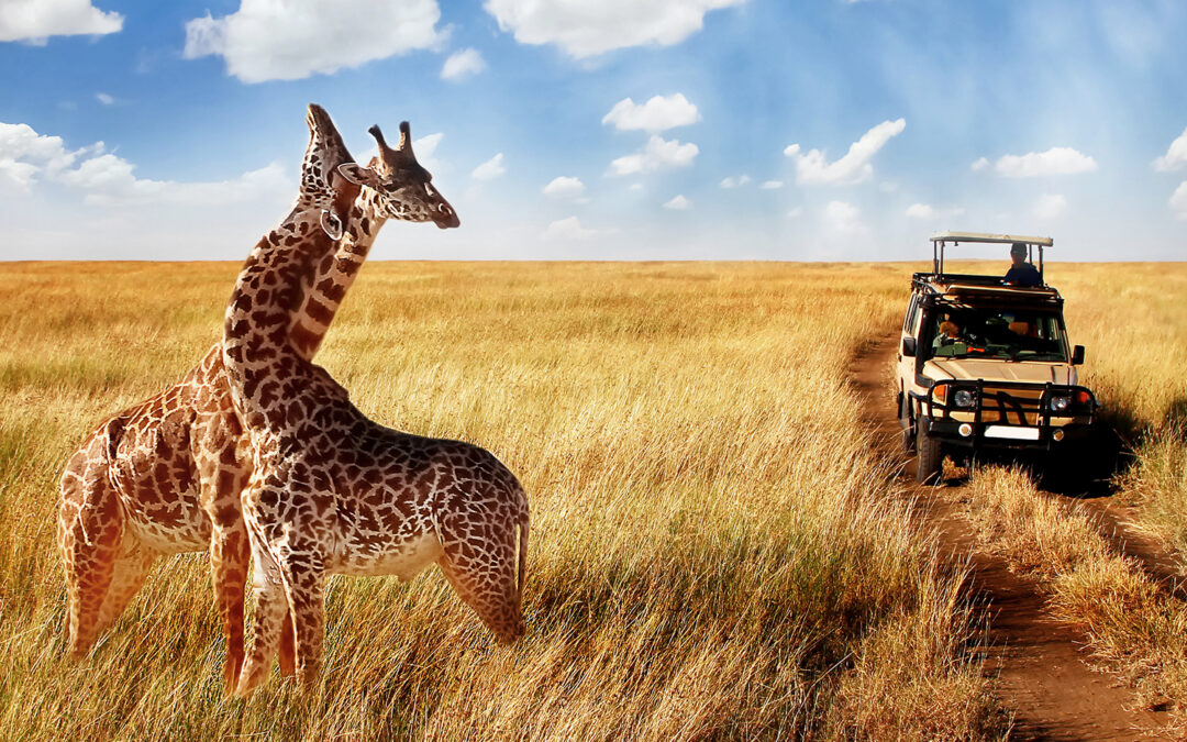 NAMIBIE (2024)