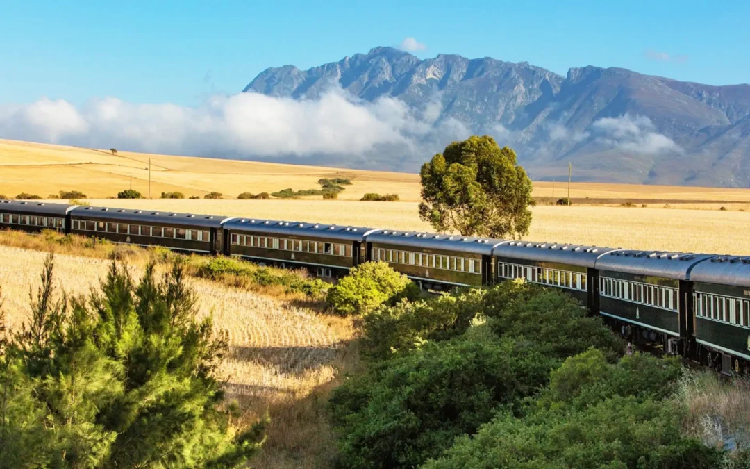 SOUTHERN CROSS – SHONGOLOLO (2027)